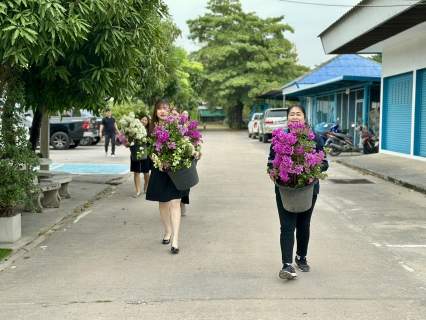 ไฟล์แนบ กปภ.สาขาสมุทรสาคร (พ) ปรับปรุงภูมิทัศน์รอบสำนักงาน พร้อมนำต้นเฟื่องฟ้ามาจัดตกแต่งพื้นที่