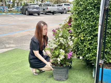 ไฟล์แนบ กปภ.สาขาสมุทรสาคร (พ) ปรับปรุงภูมิทัศน์รอบสำนักงาน พร้อมนำต้นเฟื่องฟ้ามาจัดตกแต่งพื้นที่