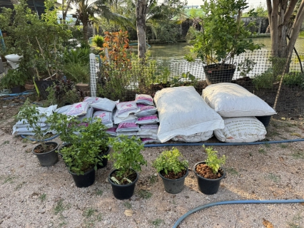 ไฟล์แนบ กปภ.สาขาสมุทรสาคร (พ) ร่วมดำเนินโครงการ ประปานี้มีรัก ปลูกผักกินเอง