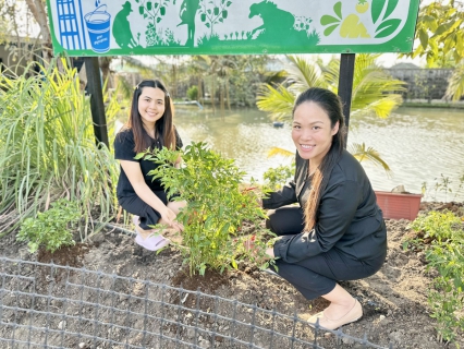 ไฟล์แนบ กปภ.สาขาสมุทรสาคร (พ) ร่วมดำเนินโครงการ ประปานี้มีรัก ปลูกผักกินเอง