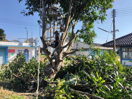 ไฟล์แนบ กปภ.สาขาเทิง จัดกิจกรรม Big Cleaning Day ครั้งที่ 1/2569