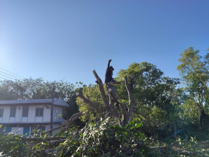 ไฟล์แนบ กปภ.สาขาเทิง จัดกิจกรรม Big Cleaning Day ครั้งที่ 1/2569