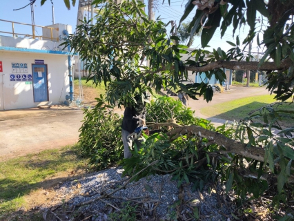 ไฟล์แนบ กปภ.สาขาเทิง จัดกิจกรรม Big Cleaning Day ครั้งที่ 1/2569