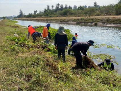ไฟล์แนบ การประปาส่วนภูมิภาคสาขาเพชรบุรี ร่วมกันกำจัดวัชพืชและผักตบชวาในคลองชลประทาน