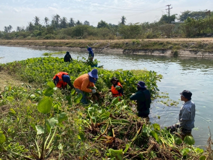 ไฟล์แนบ การประปาส่วนภูมิภาคสาขาเพชรบุรี ร่วมกันกำจัดวัชพืชและผักตบชวาในคลองชลประทาน