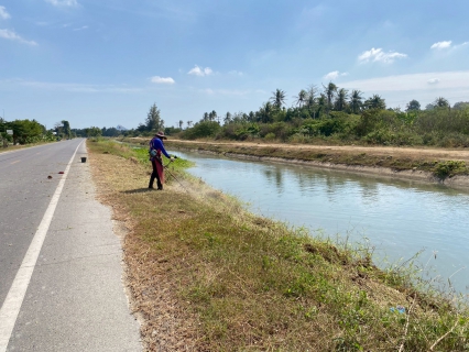ไฟล์แนบ การประปาส่วนภูมิภาคสาขาเพชรบุรี ร่วมกันกำจัดวัชพืชและผักตบชวาในคลองชลประทาน