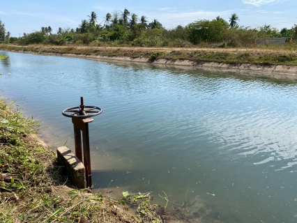 ไฟล์แนบ การประปาส่วนภูมิภาคสาขาเพชรบุรี ร่วมกันกำจัดวัชพืชและผักตบชวาในคลองชลประทาน