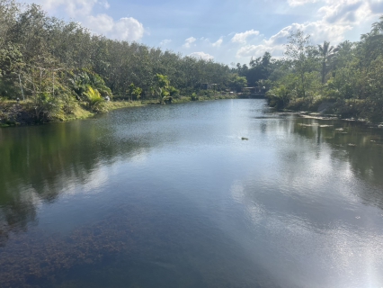 ไฟล์แนบ กปภ.สาขาท่าแซะ ติดตามสถานการณ์น้ำดิบต้นทุนและการบริหารจัดการในพื้นที่หน่วยบริการมาบอำมฤต