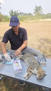 ไฟล์แนบ กปภ.สาขาปากท่อ ร่วมกับ ปศุสัตว์อำเภอฯ ลงพื้นที่ทำหมันสุนัข-แมวจร ณ สถานีผลิตน้ำไพรสะเดา เพื่อความเป็นระเบียบเรียบร้อย