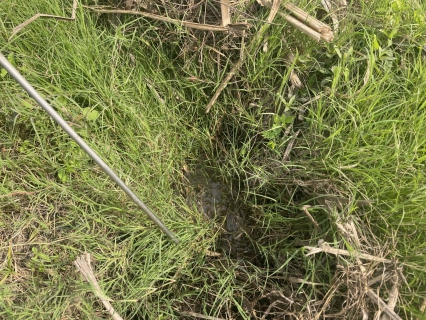 ไฟล์แนบ กปภ.สาขาด่านช้าง ลงพื้นที่ทำกิจกรรมลดน้ำสูญเสียเชิงรุก (ALC) 