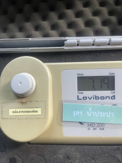 ไฟล์แนบ กปภ.สาขาคลองท่อม ดำเนินการตรวจสอบคุณภาพน้ำดิบประจำวันเพื่อใช้ในการผลิตน้ำประปา