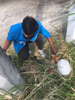 ไฟล์แนบ การประปาส่วนภูมิภาคสาขาภูเก็ต ลงพื้นที่สุ่มอ่านมาตรออนไลน์ ผ่านโปรแกรมระบบการจัดการสุ่มมาตรออนไลน์ ประจำเดือน มกราคม 2569