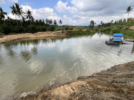 ไฟล์แนบ การประปาส่วนภูมิภาคสาขาบางสะพาน เร่งดำเนินการขุดลอกคลองร่อนทอง บริเวณสถานีผลิตน้ำร่อนทอง 