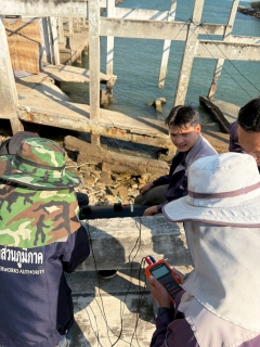 ไฟล์แนบ การประปาส่วนภูมิภาคสาขาเพชรบุรี ดำเนินกิจกรรม Step Test ค้นหาท่อแตกรั่ว พื้นที่ที่มีน้ำสูญเสียสูง