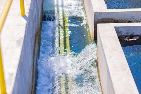 ไฟล์แนบ กปภ. อัดงบกว่า 1,498 ล้านบาท ขยายศักยภาพประปาบ้านฉาง จ.ระยอง รองรับ 5 อำเภอและ EEC