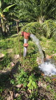 ไฟล์แนบ กปภ.สาขาคลองท่อมดำเนินการเปิดล้างระบายตะกอนในเส้นท่อจ่ายน้ำ (Blow off) ผ่านหัวดับเพลิง