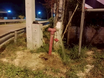 ไฟล์แนบ การประปาส่วนภูมิภาคสาขาเพชรบุรี ดำเนินกิจกรรม Step Test ค้นหาท่อแตกรั่ว พื้นที่ที่มีน้ำสูญเสียสูง 