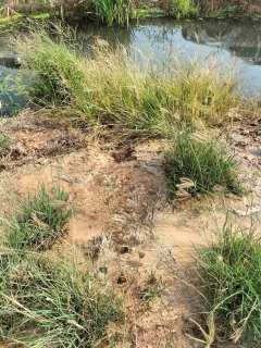 ไฟล์แนบ การประปาส่วนภูมิภาคสาขาฉะเชิงเทรา โดยงานบริการและควบคุมน้ำสูญเสีย ร่วมกับบริษัทประปา ฉะเชิงเทรา จำกัด ดำเนินการเฝ้าระวังและสำรวจท่อแตกรั่วเชิงรุกในพื้นที่จ่ายน้ำอย่างต่อเนื่อง