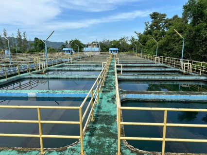 ไฟล์แนบ การประปาส่วนภูมิภาคสาขาภูเก็ต ปฏิบัติการล้างทำความสะอาดถังตกตะกอน ณ สถานีผลิตน้ำบางวาด ตามแผนโครงการจัดการน้ำสะอาด (WSP) ครั้งที่ 3 ประจำปีงบประมาณ 2569