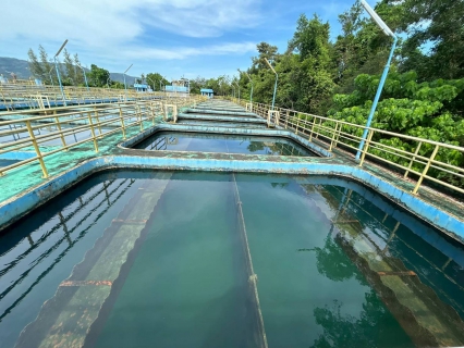 ไฟล์แนบ การประปาส่วนภูมิภาคสาขาภูเก็ต ปฏิบัติการล้างทำความสะอาดถังตกตะกอน ณ สถานีผลิตน้ำบางวาด ตามแผนโครงการจัดการน้ำสะอาด (WSP) ครั้งที่ 3 ประจำปีงบประมาณ 2569