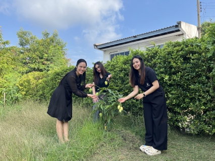 ไฟล์แนบ กปภ.สาขาสมุทรสาคร (พ) สืบสานโครงการ ประปานี้มีรัก ปลูกผักกินเอง อย่างต่อเนื่อง หนุนลดการใช้พลังงานและส่งเสริมเศรษฐกิจพอเพียง