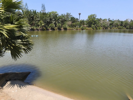 ไฟล์แนบ การประปาส่วนภูมิภาคสาขาคลองท่อมลงพื้นที่​ติดตามสถานการณ์น้ำ บริเวณคลองสินปุน หน่วยบริการลำทับ ตำบลลำทับ อำเภอลำทับ จังหวัดกระบี่