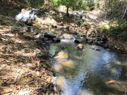 ไฟล์แนบ การประปาส่วนภูมิภาคสาขาคลองท่อมลงพื้นที่​ติดตามสถานการณ์น้ำ บริเวณคลองสินปุน หน่วยบริการลำทับ ตำบลลำทับ อำเภอลำทับ จังหวัดกระบี่