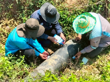 ไฟล์แนบ กปภ.สาขาวัฒนานคร ลงพื้นที่ดำเนินการ ALC ค้นหาท่อแตกรั่วเชิงรุก