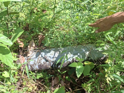 ไฟล์แนบ การประปาส่วนภูมิภาคสาขาตะกั่วป่า ร่วมกับสำนักจัดการทรัพยากรป่าไม้ที่่ 12 สาขากระบี่ ได้ดำเนินการประสานงานเชิงรุกเพื่อแก้ไขปัญหาน้ำดิบ (น้ำตกบางอี)