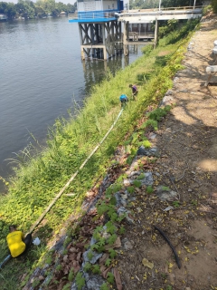 ไฟล์แนบ กปภ.สาขากาญจนบุรี จัดกิจกรรมพัฒนาแหล่งน้ำ กำจัดวัชพืช เก็บขยะ สิ่งปฏิกูล เพื่อรักษาแหล่งน้ำ แม่น้ำแควใหญ่ บริเวณสถานีสูบน้ำแรงต่ำสำนักงาน