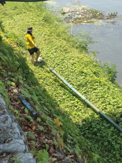 ไฟล์แนบ กปภ.สาขากาญจนบุรี จัดกิจกรรมพัฒนาแหล่งน้ำ กำจัดวัชพืช เก็บขยะ สิ่งปฏิกูล เพื่อรักษาแหล่งน้ำ แม่น้ำแควใหญ่ บริเวณสถานีสูบน้ำแรงต่ำสำนักงาน