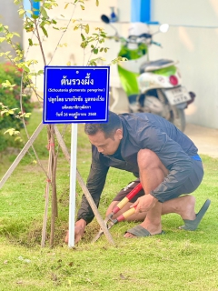 ไฟล์แนบ กปภ.สาขาสามพราน ร่วมกิจกรรมตัดหญ้าและตัดแต่งกิ่งไม้ ปรับปรุงภูมิทัศน์รอบสำนักงาน
