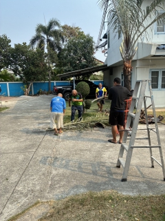 ไฟล์แนบ กปภ.สาขาสามพราน ร่วมกิจกรรมตัดหญ้าและตัดแต่งกิ่งไม้ ปรับปรุงภูมิทัศน์รอบสำนักงาน