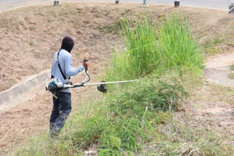 ไฟล์แนบ กปภ.เขต 1 และ กปภ.สาขาชลบุรี (พ) ร่วมกับ สชป.9 จัดกิจกรรมตัดหญ้าเขื่อนบางพระ ภายใต้ MOU โครงการสูบผันน้ำคลองพระองค์ไชยานุชิต - อ่างเก็บน้ำบางพระ