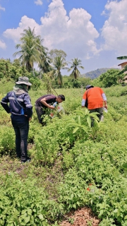 ไฟล์แนบ ภาพประกอบกิจกรรม