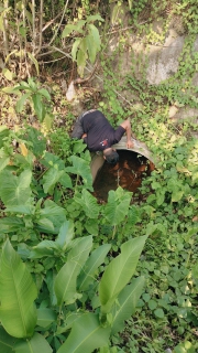 ไฟล์แนบ ภาพประกอบกิจกรรม