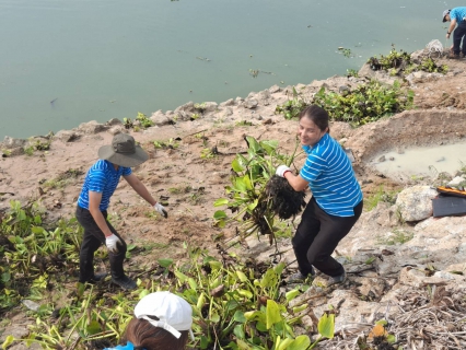 ไฟล์แนบ กปภ.รักษ์สิ่งแวดล้อม" ปรับภูมิทัศน์และกำจัดวัชพืช ณ สถานีสูบน้ำดิบหนองปลาไหล มุ่งเน้นการดูแลแหล่งน้ำอย่างยั่งยืน