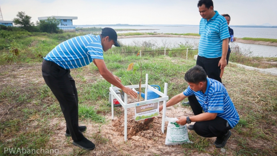 ไฟล์แนบ กปภ.สาขาบ้านฉาง รวมพลังจัดกิจกรรม "กปภ.รักษ์สิ่งแวดล้อม" ปลูกไม้ยืนต้นเพิ่มพื้นที่สีเขียว ณ สถานีสูบน้ำดิบหนองปลาไหล
