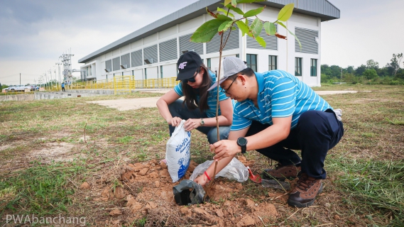 ไฟล์แนบ กปภ.สาขาบ้านฉาง รวมพลังจัดกิจกรรม "กปภ.รักษ์สิ่งแวดล้อม" ปลูกไม้ยืนต้นเพิ่มพื้นที่สีเขียว ณ สถานีสูบน้ำดิบหนองปลาไหล