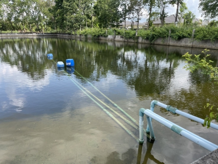ไฟล์แนบ กปภ.สาขาระยอง ลงพื้นที่ตรวจสอบระบบประปาหมู่บ้าน ต.ตาขัน เร่งให้คำแนะนำแก้ไขปัญหาน้ำขุ่นเหลือง เพื่อสุขอนามัยของชุมชน
