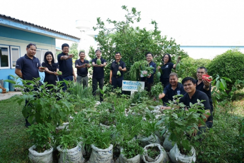 ไฟล์แนบ กปภ.สาขาปักธงชัย ใจดี! จัดกิจกรรม "แจกผักสดฟรี" เพียงโหลดแอปฯ PWA Plus Life หรือเพิ่มเพื่อน Line Official Account