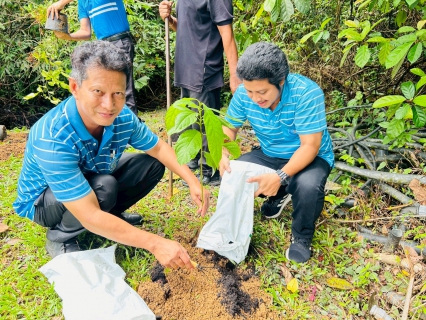 ไฟล์แนบ กปภ.สาขาตะกั่วป่า จัดกิจกรรมโครงการ กปภ.ปลูกป่าเพื่อแผ่นดิน เทิดพระเกียรติพระบาทสมเด็จพระบรมชนกาธิเบศร มหาภูมิพลอดุลยเดชมหาราช บรมนาถบพิตร (Fathers Land) ปี 2569