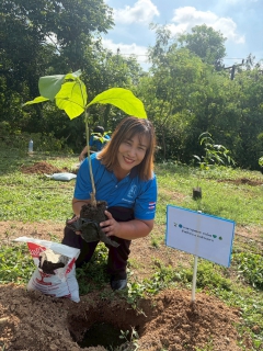 ไฟล์แนบ 🌳💚 กปภ.สาขากบินทร์บุรี จัดกิจกรรม กปภ.ปลูกป่าเพื่อแผ่นดิน  เทิดพระเกียรติพระบาทสมเด็จพระบรมชนกาธิเบศร มหาภูมิพลอดุลยเดชมหาราช บรมนาถบพิตร  ประจำปี 2569 💚🌳 