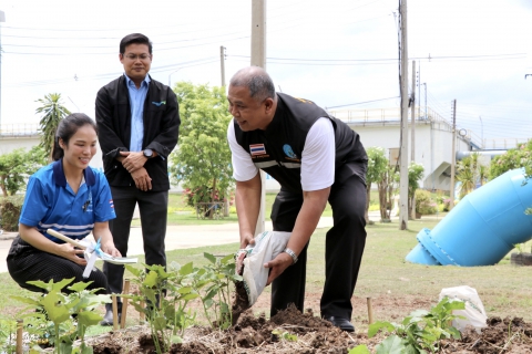 ไฟล์แนบ กปภ.สาขาสมุทรสาคร (พ) เปิดตัวโครงการ ประปานี้มีรัก ปลูกผักกินเอง Season 2