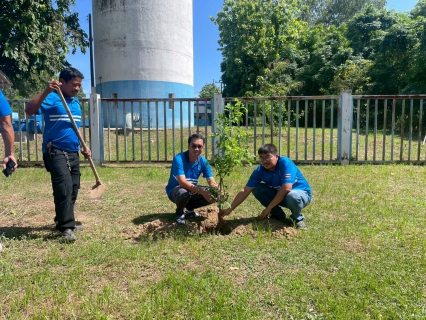 ไฟล์แนบ กปภ.สาขาพยุหะคีรี ดำเนินโครงการปลูกป่าเพื่อแผ่นดิน  ประจำปี 2569