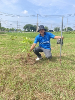 ไฟล์แนบ การประปาส่วนภูมิภาคสาขาจัตุรัส  รวมพลังปลูกต้นไม้เพิ่มพื้นที่สีเขียวในโครงการ "กปภ.ปลูกป่าเพื่อแผ่นดิน(Father
