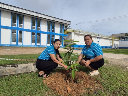ไฟล์แนบ การประปาส่วนภูมิภาคสาขาคลองท่อมดำเนินการจัดกิจกรรมโครงการ กปภ.ปลูกป่าเพื่อแผ่นดิน เทิดพระเกียรติ พระบาทสมเด็จพระบรมชนกาธิเบศร มหาภูมิพลอดุลยเดช มหาราช บรมนาถบพิตร