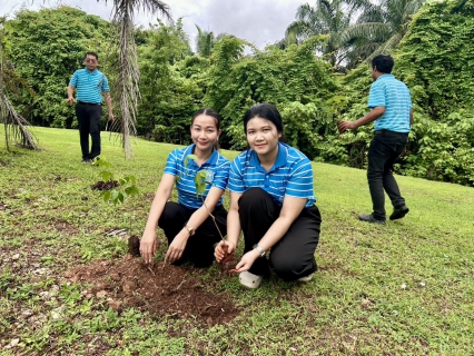 ไฟล์แนบ ดำเนินโครงการ กปภ.ปลูกป่าเพื่อแผ่นดิน เทิดพระเกียรติพระบาทสมเด็จพระบรมชนกาธิเบศร มหาภูมิพลอดุลยเดชมหาราช บรมนาถบพิตร (fathers land) ปี 2569
