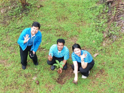 ไฟล์แนบ ดำเนินโครงการ กปภ.ปลูกป่าเพื่อแผ่นดิน เทิดพระเกียรติพระบาทสมเด็จพระบรมชนกาธิเบศร มหาภูมิพลอดุลยเดชมหาราช บรมนาถบพิตร (fathers land) ปี 2569