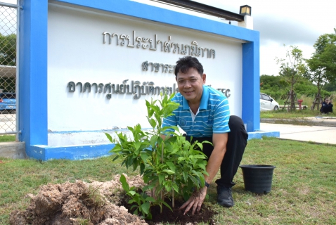 ไฟล์แนบ กปภ.สาขาระยอง จัดโครงการ กปภ.ปลูกป่าเพื่อแผ่นดิน (Father's Land) ปี 2569